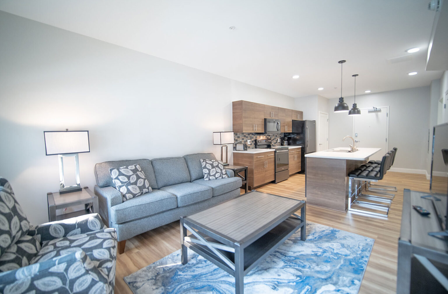 Read more about the article Furnished One-Bedroom Apartment Video